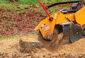 Best Firewood Processing and Delivery  in Monroeville, PA